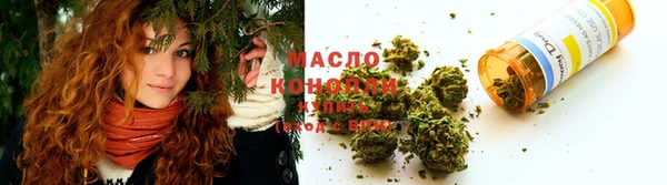 спиды Новодвинск