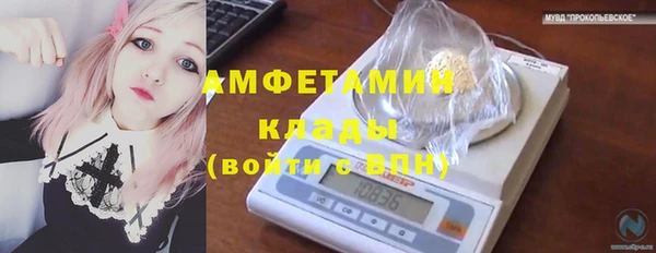 спиды Новодвинск