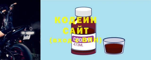 спиды Новодвинск