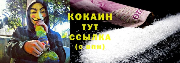 спиды Новодвинск