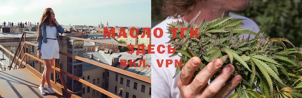 спиды Новодвинск