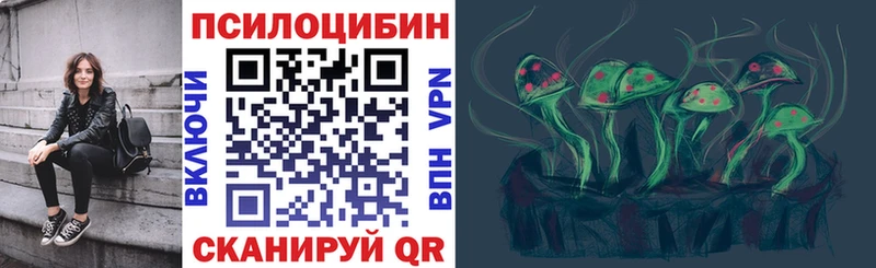 Купить  Судак  Галлюциногенные грибы прущие грибы 